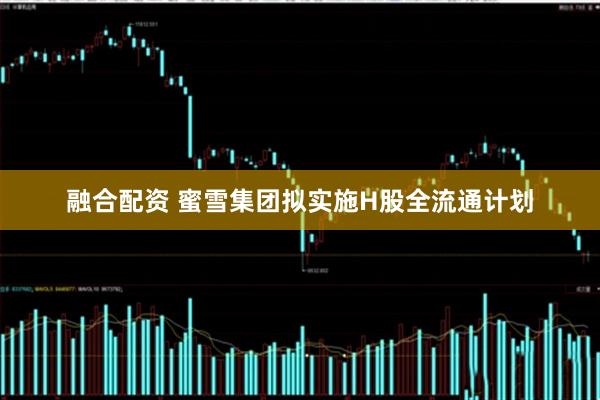 融合配资 蜜雪集团拟实施H股全流通计划
